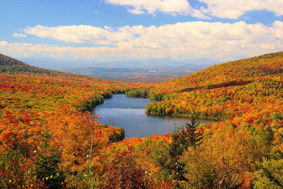 6 Vermont campgrounds you can’t miss.
