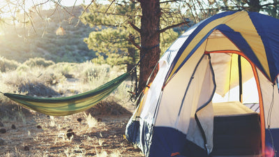 5 Reasons Why You Should Go Camping This Summer